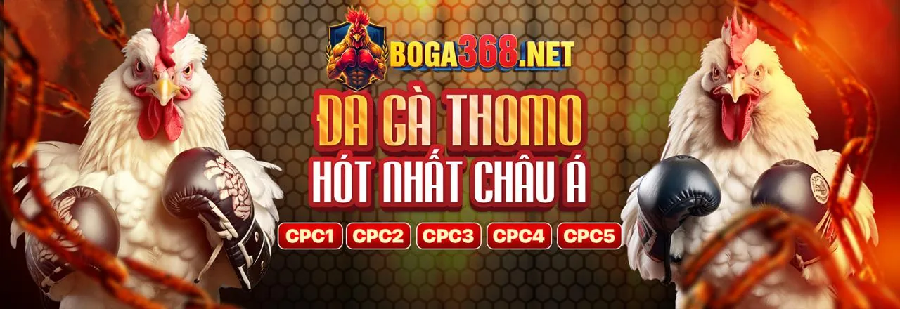 Phân tích dữ liệu cá cược thể thao
